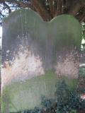 image of grave number 365355